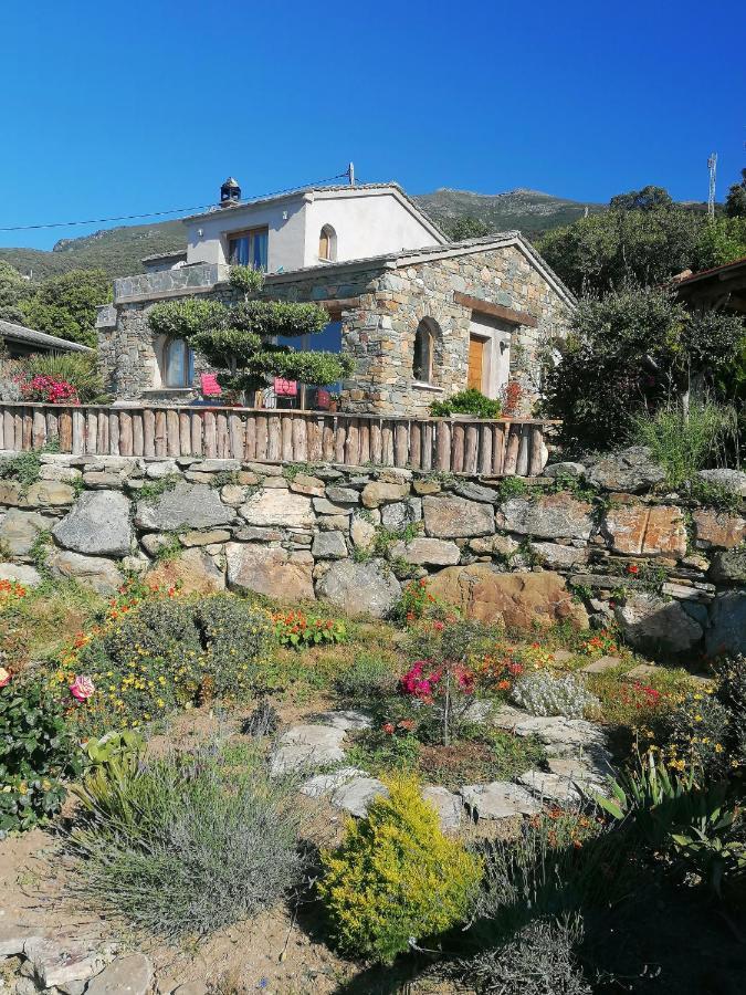 Logement De Charme Avec Piscine Privative Pino Luaran gambar