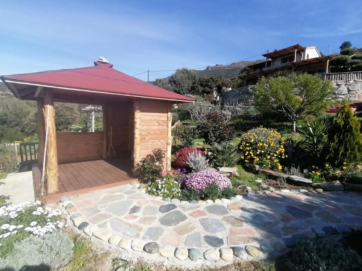 Logement De Charme Avec Piscine Privative Pino Luaran gambar