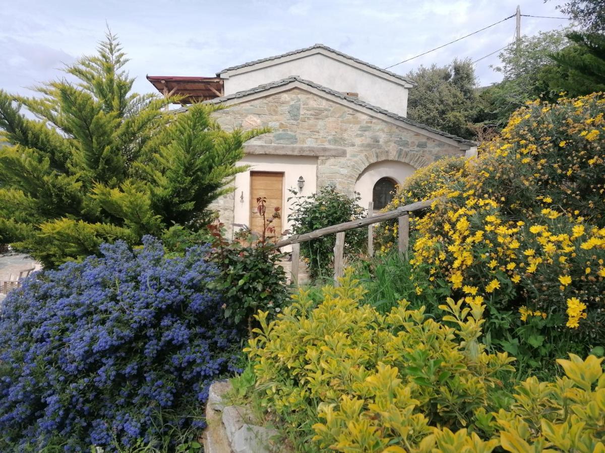 Logement De Charme Avec Piscine Privative Pino Luaran gambar